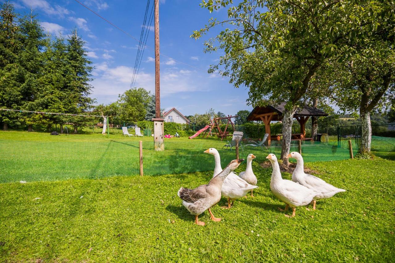 Bieszczadzki Krakowiak 575-894-584 Lub 535-595-732 Villa Polańczyk Kültér fotó