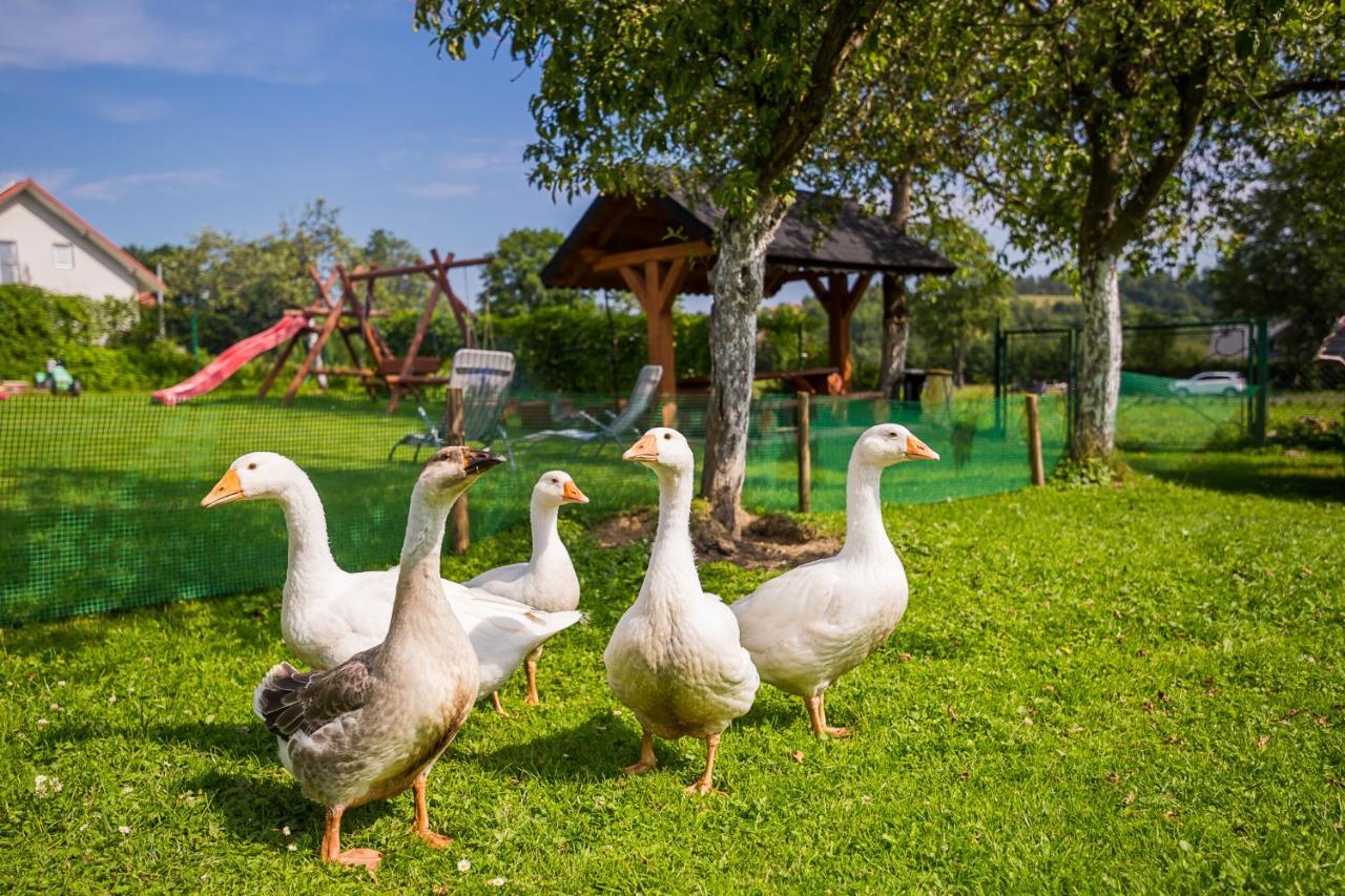 Bieszczadzki Krakowiak 575-894-584 Lub 535-595-732 Villa Polańczyk Kültér fotó